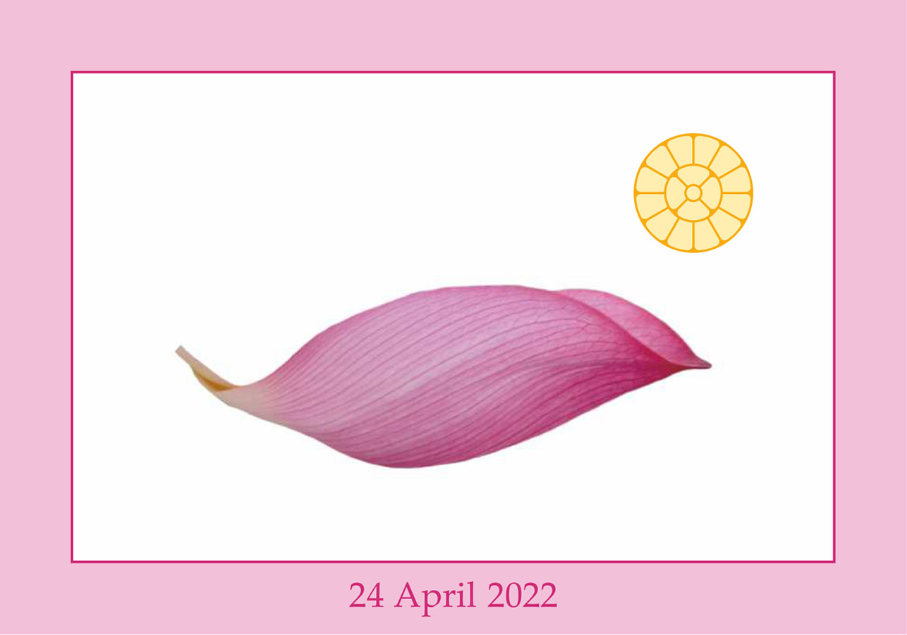 Darshan Message 24 April 2022(1/3)